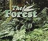 The Forest (Literacy by Design)