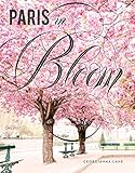 Paris In Bloom