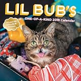 Lil Bub S One Of A Kind 2019 Calendar