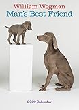 William Wegman Mans Best Friend 2020 Calendar