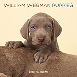 William Wegman Puppies 2020 Calendar