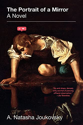 The Portrait of a Mirror book cover