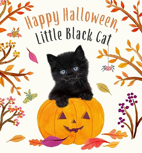 Happy Halloween, Little Black Cat / by Wood, A. J