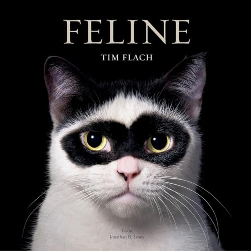 Feline: Photographs