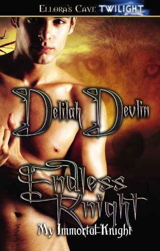 Endless Knight book cover