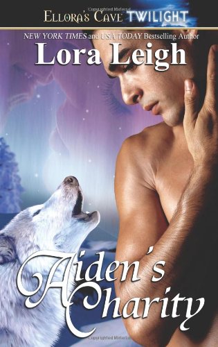 Aiden's Charity book cover
