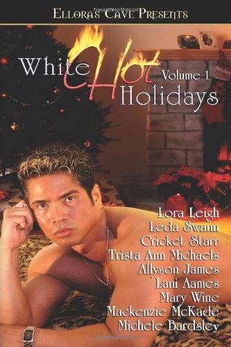 White Hot Holidays Volume 1 book cover