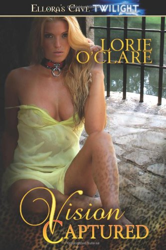 Vision Captured cover