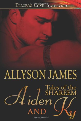 Aiden and Ky book cover
