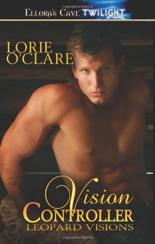 Vision Controller book cover