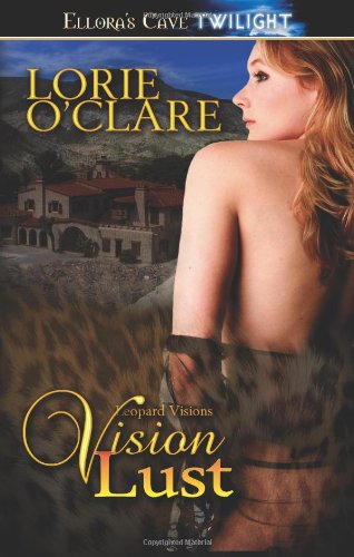 Vision Lust book cover