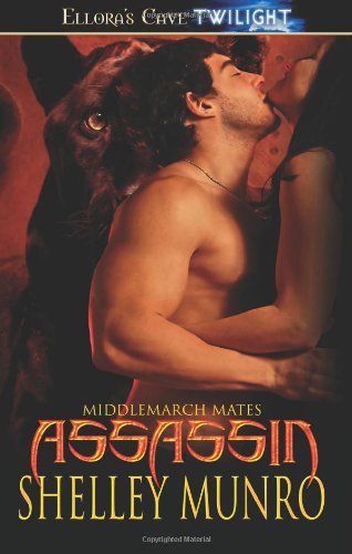 Assassin book cover