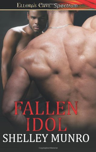 Fallen Idol book cover