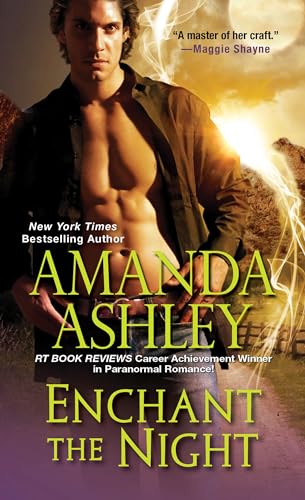 Enchant the Night book cover