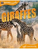 Amazon cover image