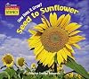 Listen-Read-Think Science: How Does it Grow? Seed to Sunflower