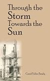 Through the Storm Towards the Sun