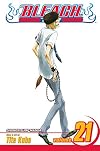 Bleach, Volume 21: Be My Family or Not