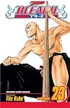 Bleach, Volume 23: Mala Suerte!