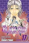 Black Cat, Volume 17