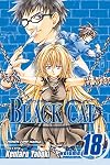 Black Cat, Volume 18