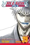 Bleach, Volume 25: No Shaking Throne