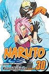 Naruto, Volume 30: Puppet Masters