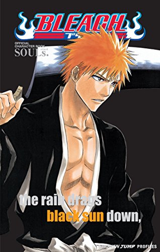 Bleach SOULs book cover
