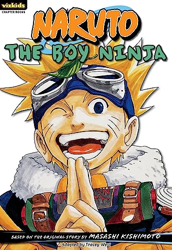The Boy Ninja book cover