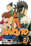 Naruto, Volume 37: Shikamaru's Battle