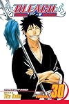 Bleach, Volume 30: There Is No Heart Without You