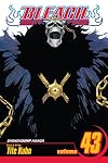 Bleach, Volume 43: Kingdom of Hollows
