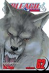 Bleach, Volume 62: Heart of Wolf