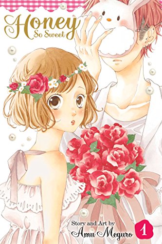 Honey So Sweet, Vol. 1 book cover