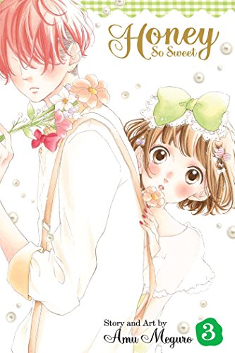 Honey So Sweet, Vol. 3 book cover