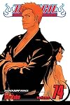 Bleach, Volume 74: The Death and the Strawberry