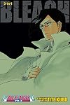 Bleach (3-in-1 Edition), Volume 24: Friend