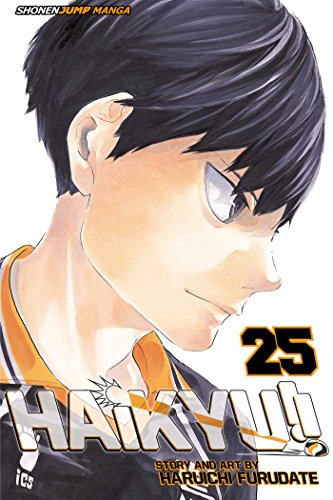 Haikyu!!, Vol. 25 book cover