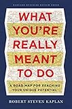 What Youre Really Meant To Do A Road Map For Reaching Your Unique Potential