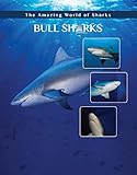 Bull Sharks Amazing World Of Sharks