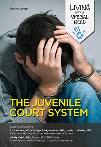 Cover of Juvenile Court System