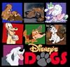 Disney's Dogs