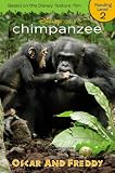 Amazon cover image