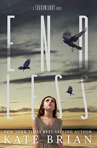 Endless book cover