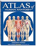 Atlas Of Human Anatomy Quickstudy Books