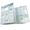 Cascading Style Sheets (Quick Study Computer)