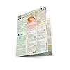 Chef's Guide to Stocks & Sauces Laminated Reference Charts (Quickstudy: Home)