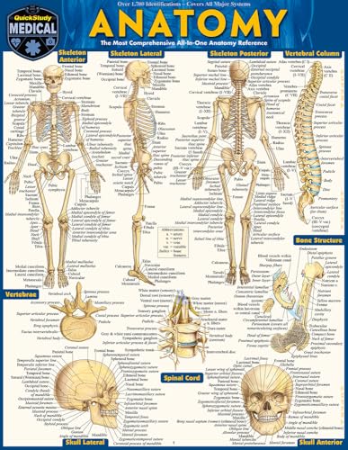 Anatomy QuickStudy Laminated Reference Guide (QuickStudy Academic)
