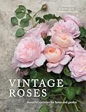 Vintage Roses Beautiful Varieties For Home And Garden
