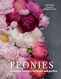 Peonies Beautiful Varieties For Home And Garden